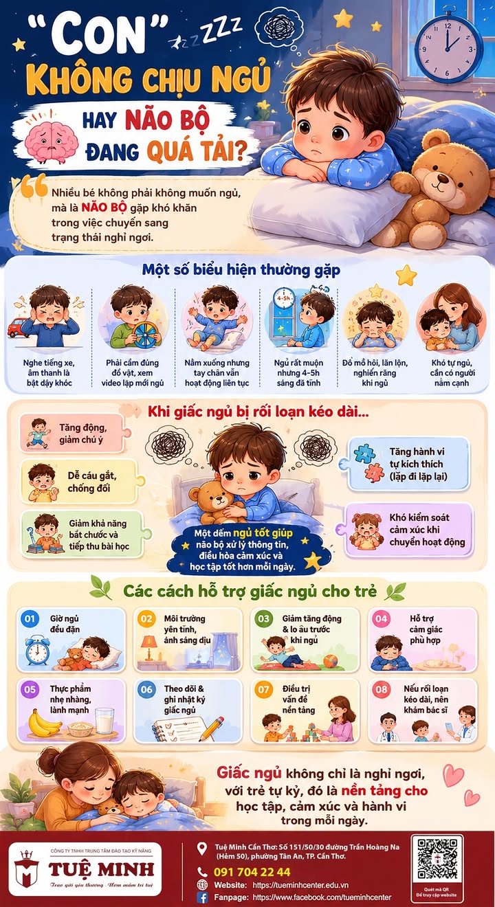 Trung Tâm Đào Tạo Kỹ Năng - Tuệ Minh